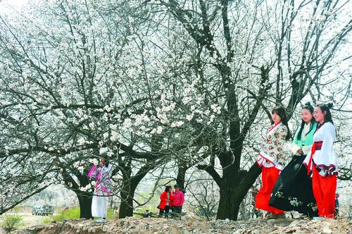 天游8线路检测中心仪表盘